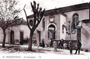 1581- Orleansville - La Synagogue